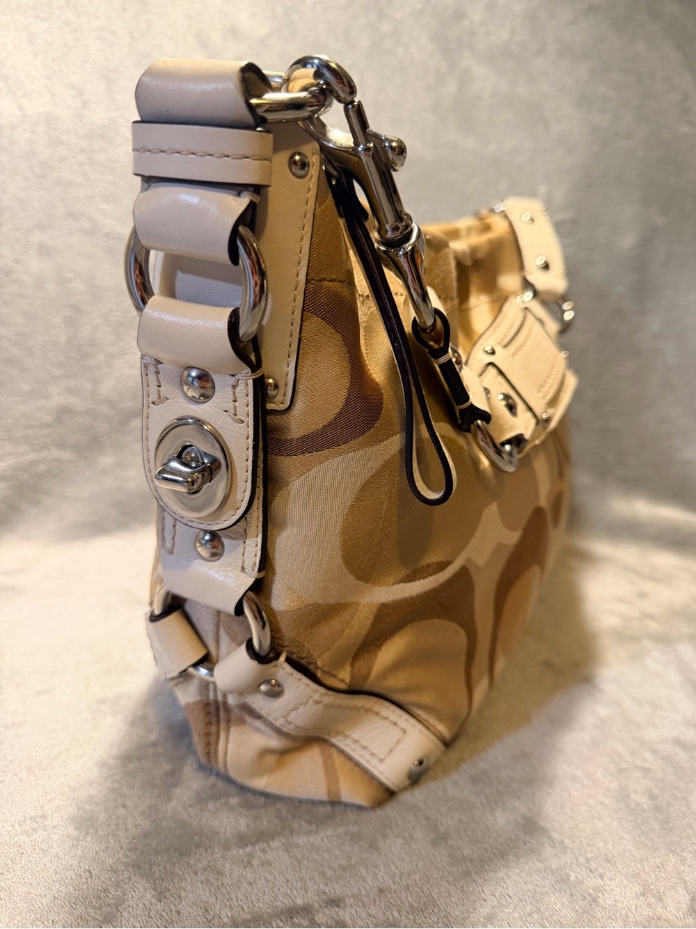 Y2K Coach Signature Carly Hobo